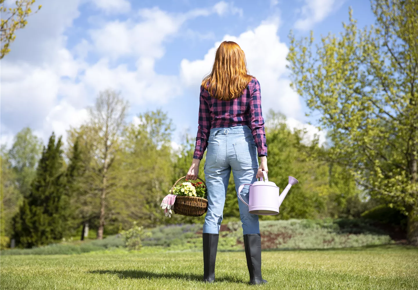 Alles auf Anfang – ein Blumenbeet anlegen Alles auf Anfang – ein Blumenbeet anlegen