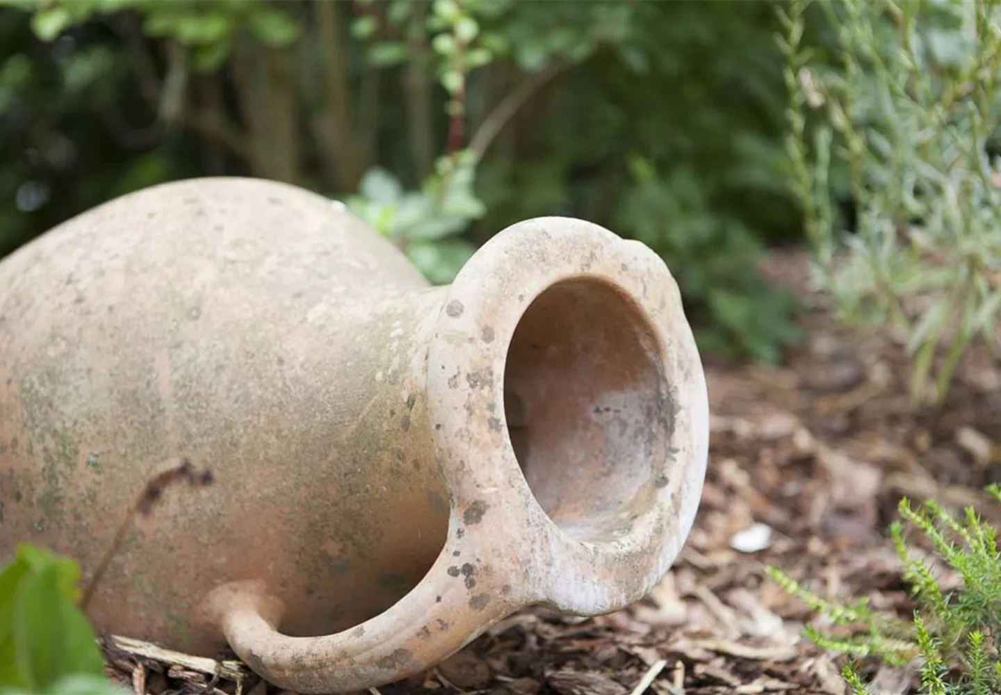 Möchten Sie Ihren Garten umstylen? So geht es ganz schnell 