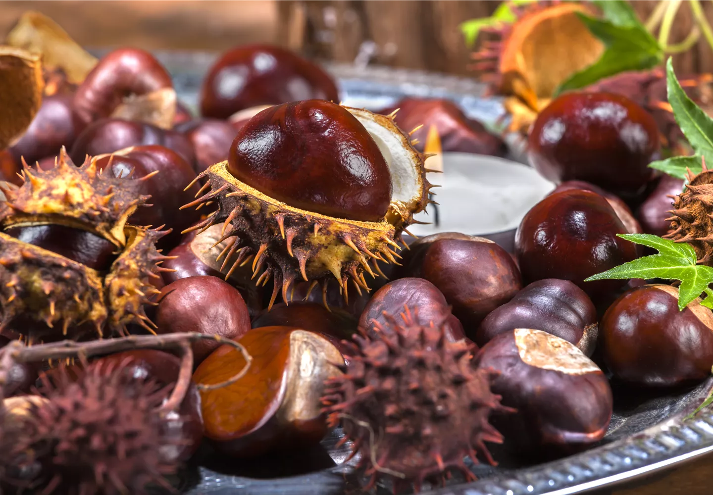 Gartenarbeiten vor dem Winter - schützen und säubern Gartenarbeiten vor dem Winter - schützen und säubern