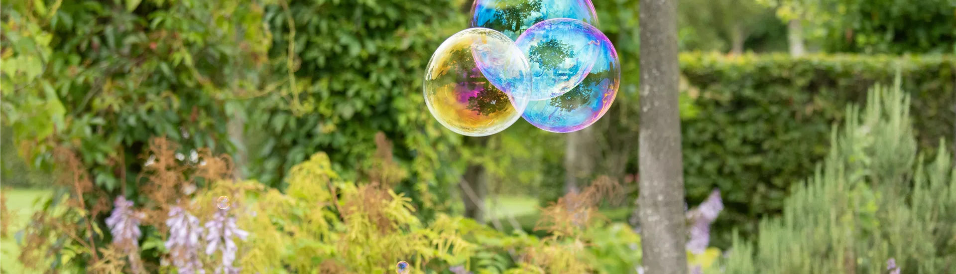 Sommergarten - Seifenblasen  Sommergarten - Seifenblasen