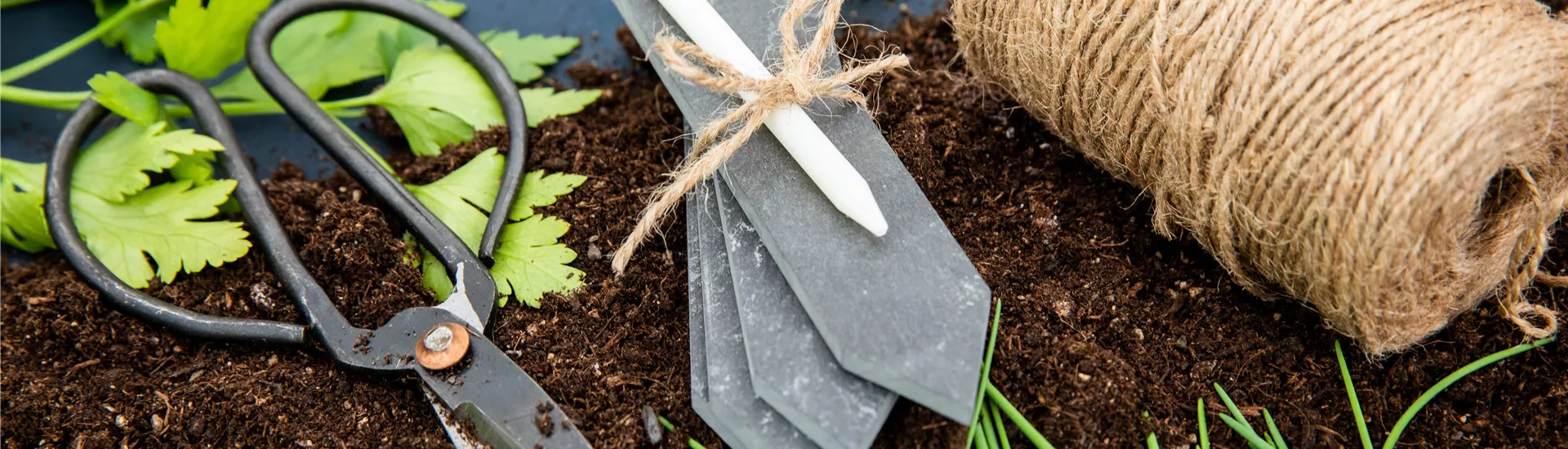 Aussaat - Pflanzenschild Aussaat - Pflanzenschild