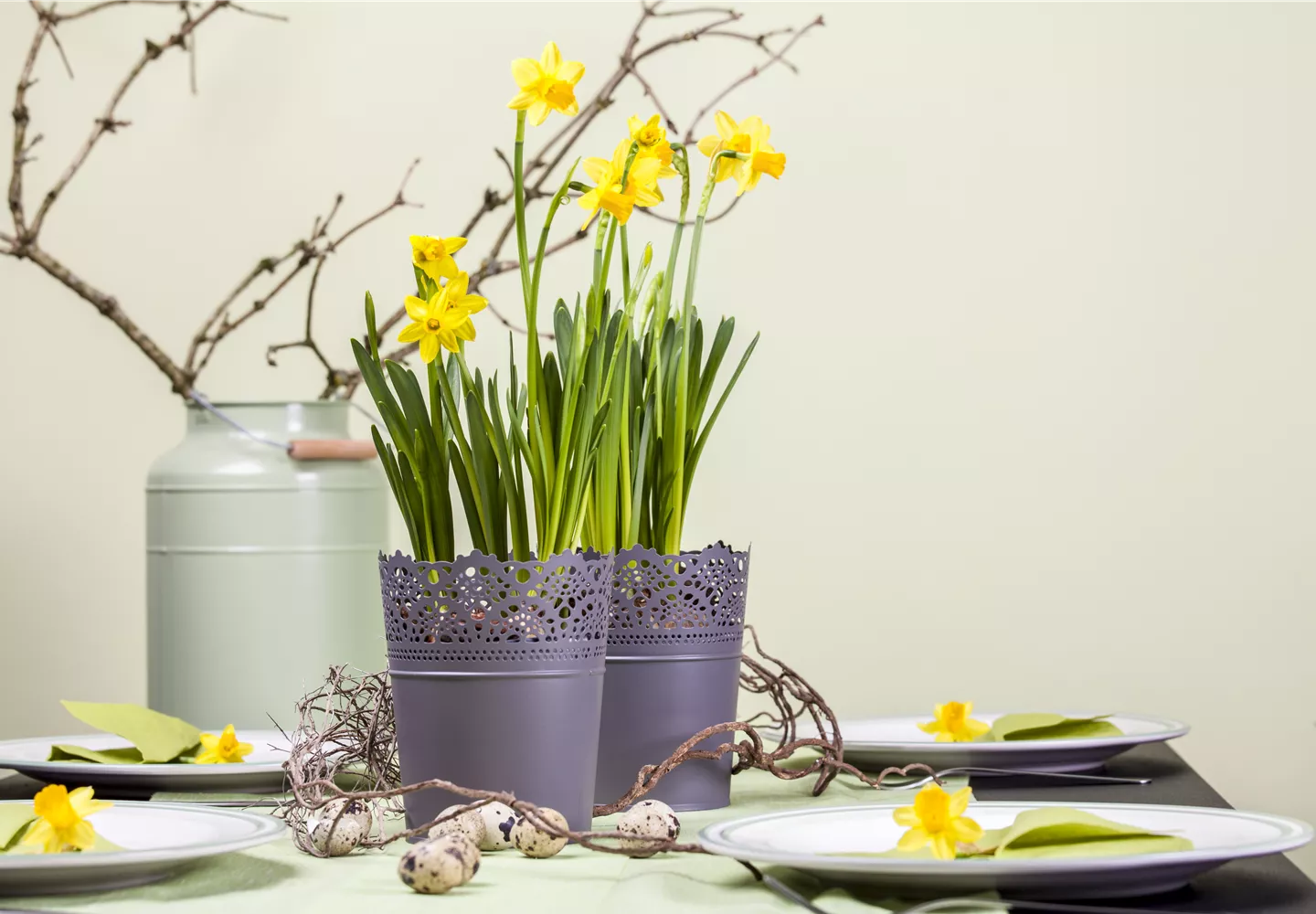 Frühblüher im Haus – Blumenzwiebeln antreiben Frühblüher im Haus – Blumenzwiebeln antreiben