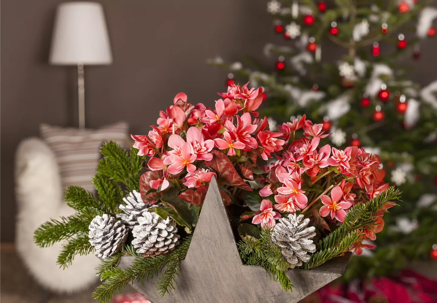 Advent - mit schönen Ideen durch die Vorweihnachtszeit  Advent - mit schönen Ideen durch die Vorweihnachtszeit