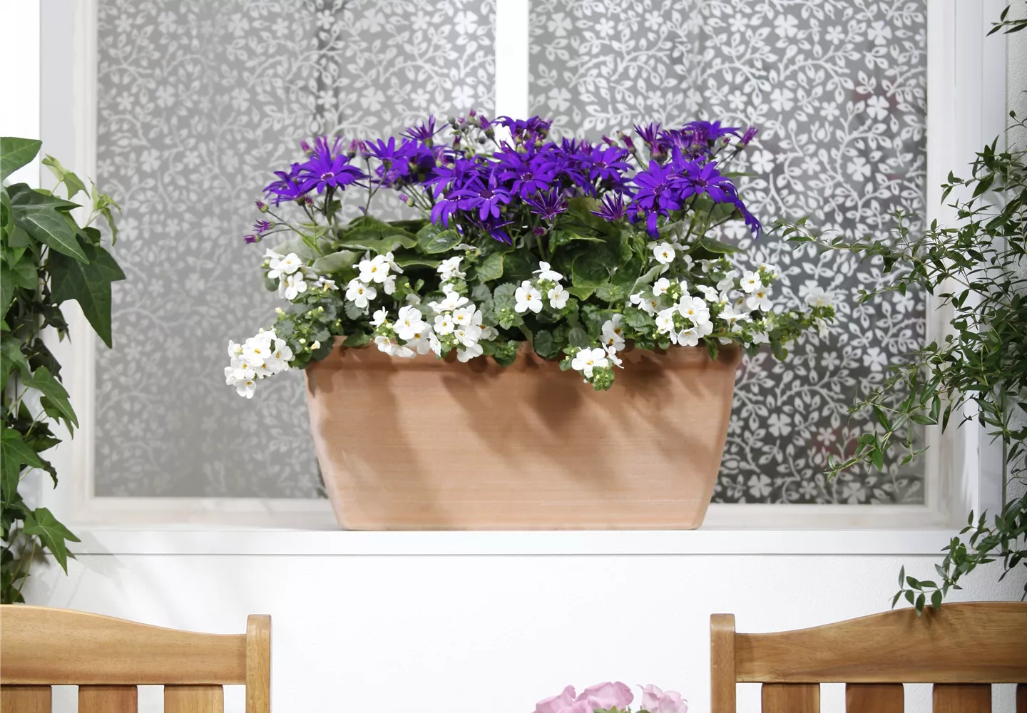 Der Winter wird grün: Winterharte Pflanzen für den Balkon Der Winter wird grün: Winterharte Pflanzen für den Balkon