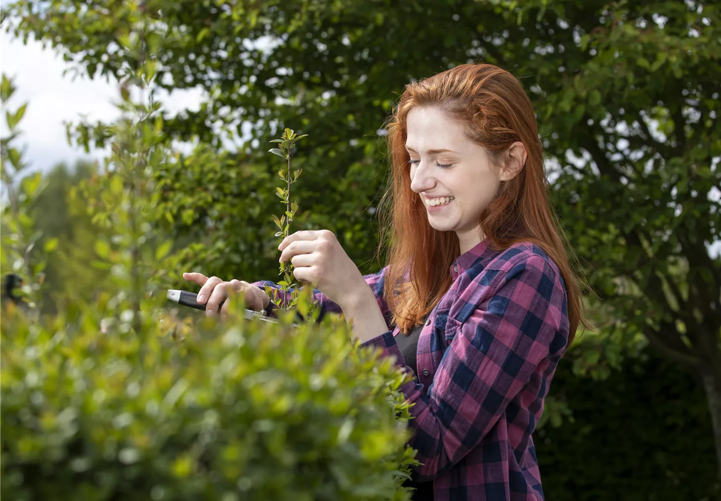 Diese Arbeiten sind jetzt im Garten noch nötig Diese Arbeiten sind jetzt im Garten noch nötig