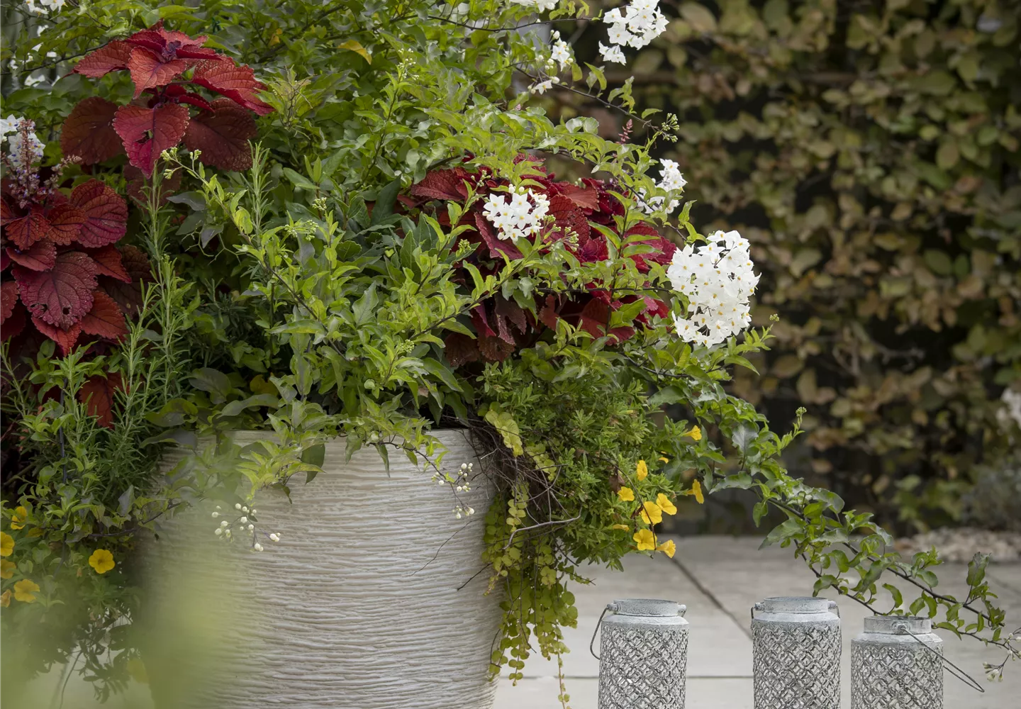 Kübel winterfest machen Kübel winterfest machen