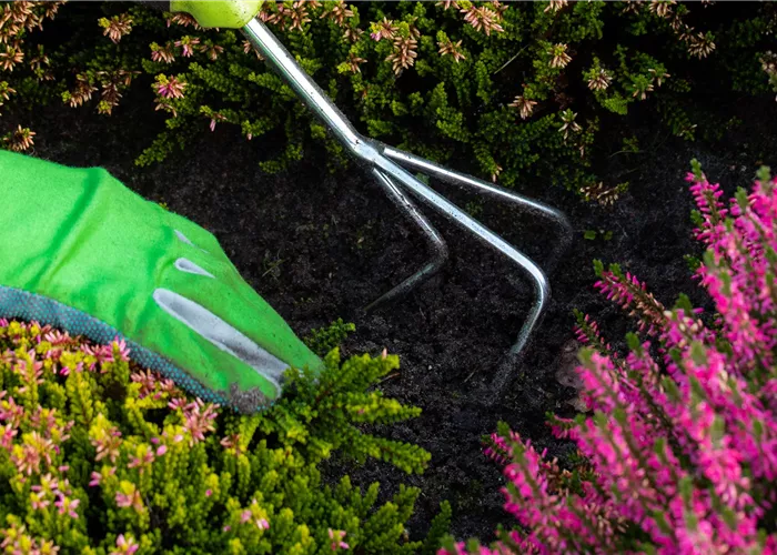 Garten- und Anlagenpflege