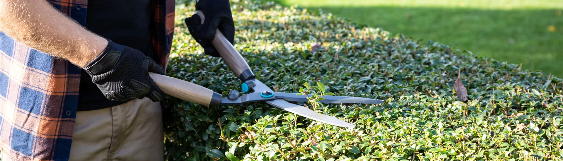 Gartengeräte - Mann mit Heckenschere Gartengeräte - Mann mit Heckenschere