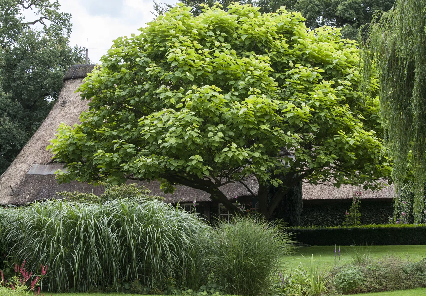 Frühjahrskur für Ihren Rasen