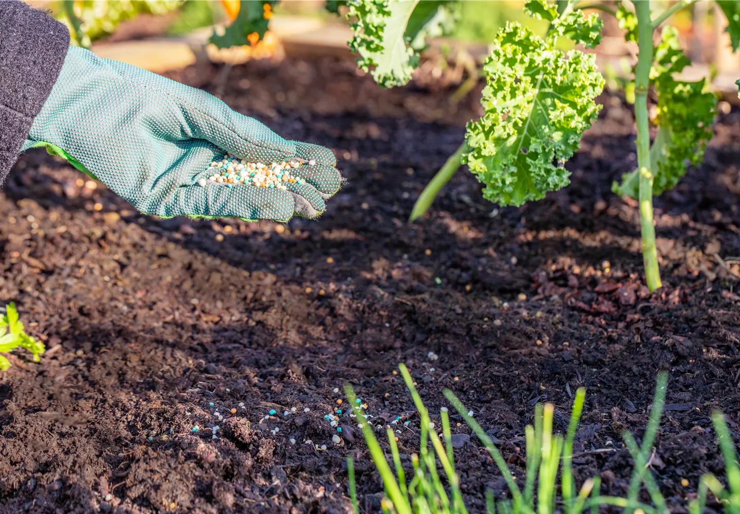 Dünger ist nicht gleich Dünger