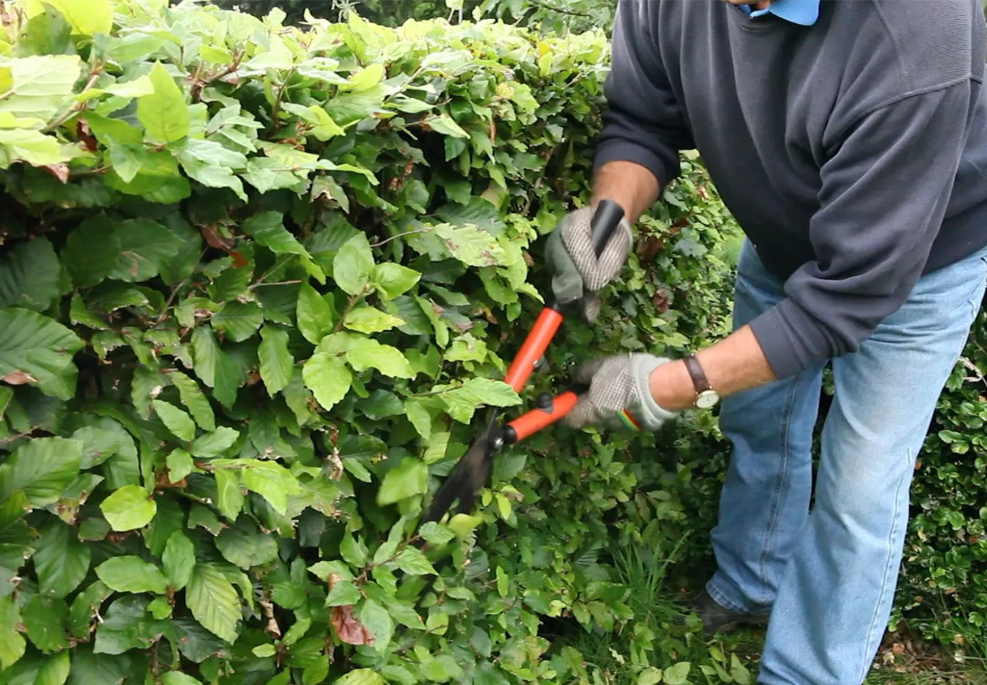 Schneidwerkzeuge und Zubehör