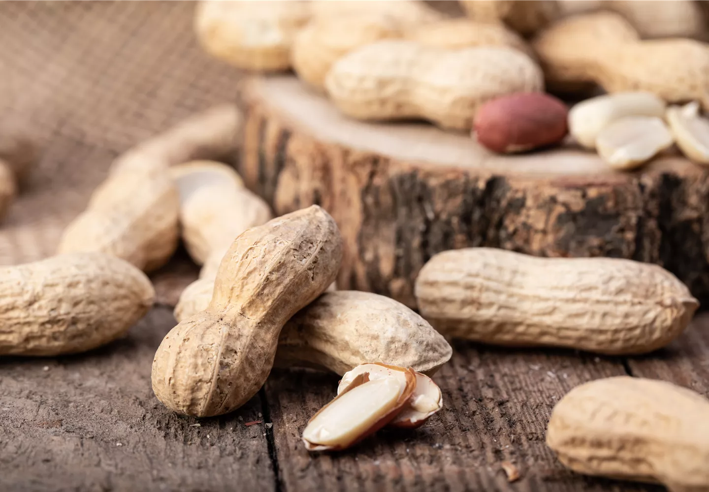 Erdnüsse im eigenen Garten 