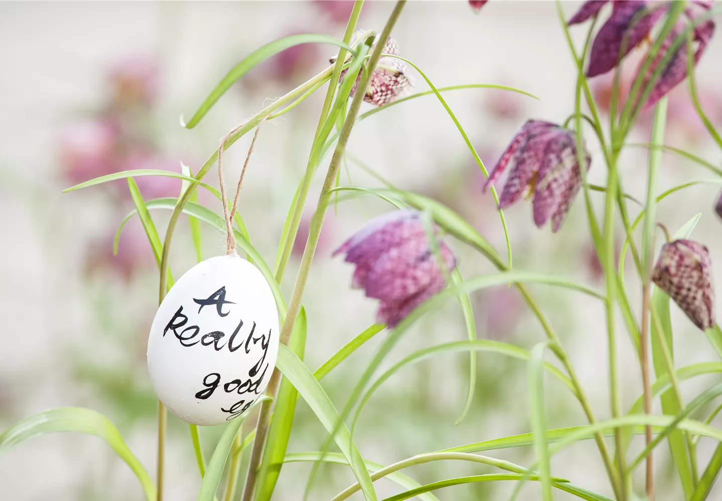 Der Garten für den Osterhasen – ein Frühlingsparadies! Der Garten für den Osterhasen – ein Frühlingsparadies!