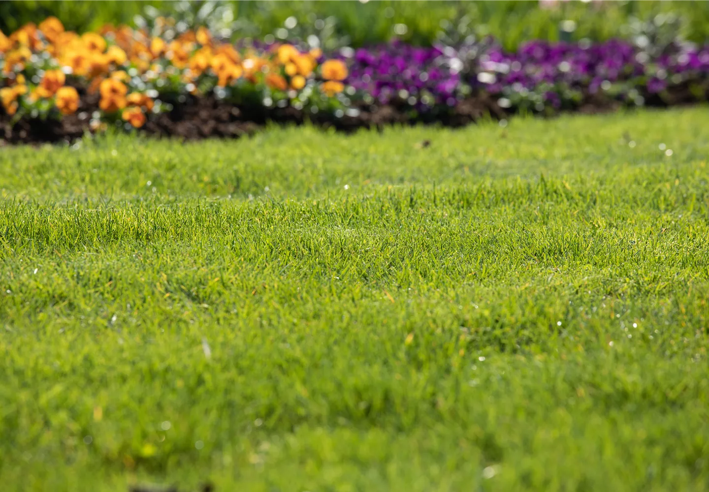 Für jeden Garten den richtigen Rasen