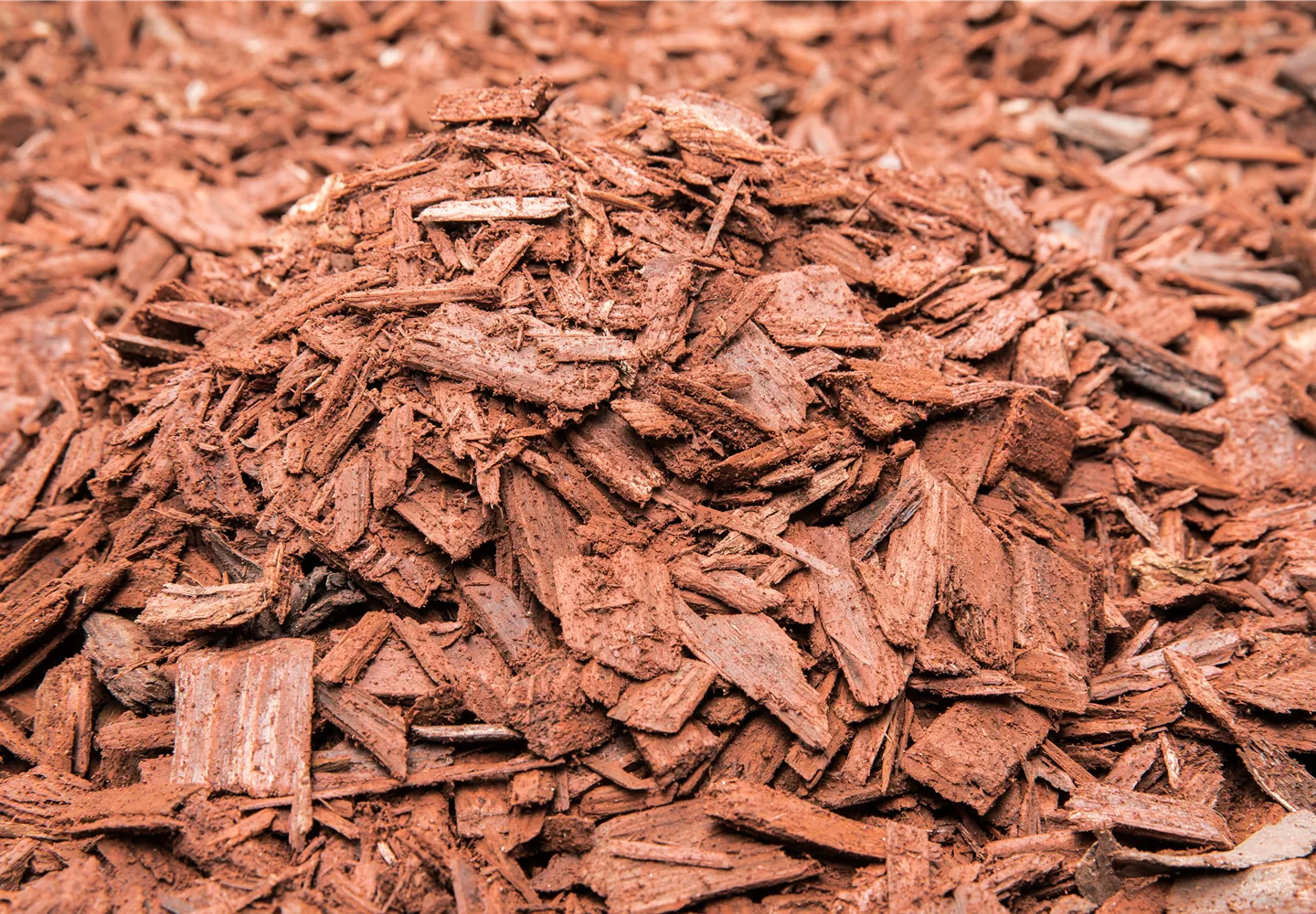 Der Mulch macht’s Der Mulch macht’s