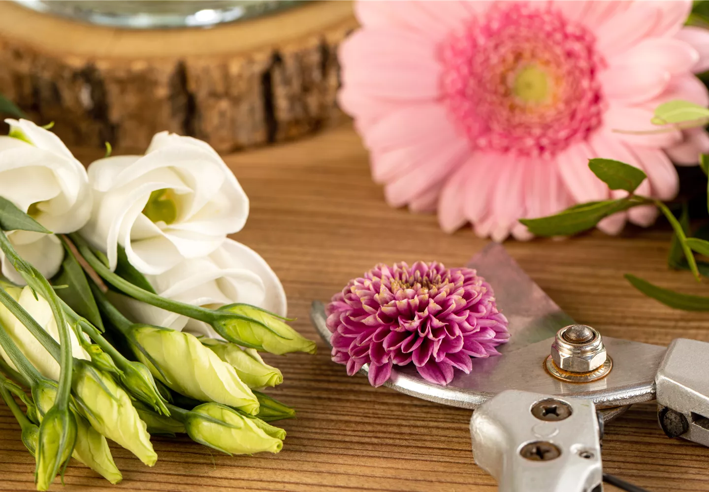 Schnittblumen - was hilft wirklich?