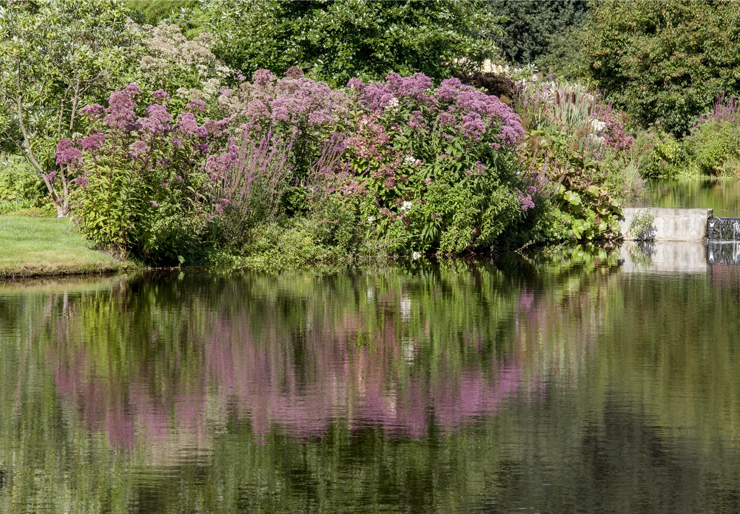 Natürliche Algenbekämpfung im Teich